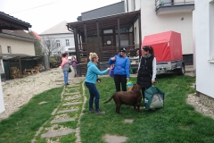 IMG-2b6433dd69867c00baa58e842794859d-V